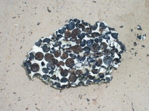 Light weight, white, calcified object with oil