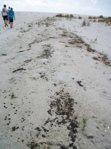 Oil remains uncleaned on the sands of Dauphin Island west of Katrina Cut