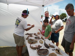 Another Dauphin Island Sea Lab ocean life exhibit