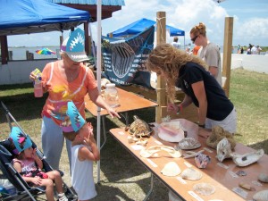 The Dauphin Island Sea Lab had several ocean life exhibits