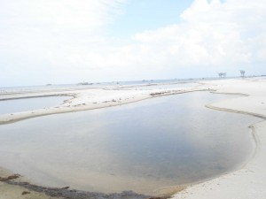 Tidal pools with oil just west of Katrina Cut