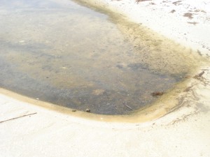 Close up of oil in tidal pool