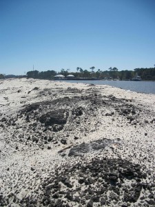 Our "clean beaches" "among the finest in the world." Photographed on Little Dauphin Island just a few weeks ago on March 17, 2011.