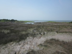 A marsh on Okracoke Island
