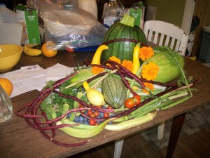 Vegetables from the garden