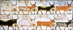 This Egyptian tomb painting is reminiscent of Pharaoh’s dream of seven fat cows followed by seven lean cows. 